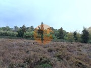 Terreno R�stico - Castro Marim, Castro Marim, Faro (Algarve) - Miniatura: 7/9