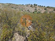 Terreno R�stico - Alcoutim, Alcoutim, Faro (Algarve) - Miniatura: 3/9