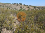 Terreno R�stico - Alcoutim, Alcoutim, Faro (Algarve) - Miniatura: 8/9