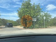 Terreno Urbano - S�o Br�s de Alportel, S�o Br�s de Alportel, Faro (Algarve) - Miniatura: 1/5