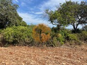Terreno Urbano - S�o Br�s de Alportel, S�o Br�s de Alportel, Faro (Algarve) - Miniatura: 3/5