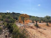 Terreno Urbano - S�o Br�s de Alportel, S�o Br�s de Alportel, Faro (Algarve) - Miniatura: 4/5