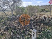 Terreno R�stico - Alcoutim, Alcoutim, Faro (Algarve) - Miniatura: 5/9