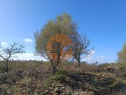 Terreno R�stico - Alcoutim, Alcoutim, Faro (Algarve) - Miniatura: 8/9