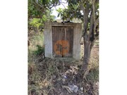Terreno R�stico - Castro Marim, Castro Marim, Faro (Algarve) - Miniatura: 3/9