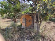 Terreno R�stico - Castro Marim, Castro Marim, Faro (Algarve) - Miniatura: 6/9