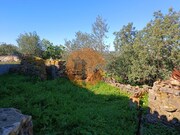 Moradia T1 - Alcoutim, Alcoutim, Faro (Algarve) - Miniatura: 4/9