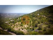 Terreno Urbano - Concei��o, Faro, Faro (Algarve) - Miniatura: 1/9