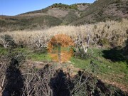 Terreno Rstico - Azinhal, Castro Marim, Faro (Algarve) - Miniatura: 3/9