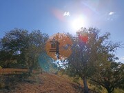 Terreno R�stico - Azinhal, Castro Marim, Faro (Algarve) - Miniatura: 4/9