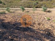 Terreno R�stico - Azinhal, Castro Marim, Faro (Algarve) - Miniatura: 7/9