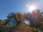 Terreno R�stico - Azinhal, Castro Marim, Faro (Algarve) - Miniatura: 8/9