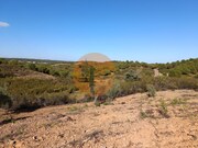 Terreno R�stico - Azinhal, Castro Marim, Faro (Algarve) - Miniatura: 9/9