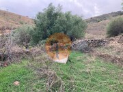 Terreno R�stico - Odeleite, Castro Marim, Faro (Algarve) - Miniatura: 3/9