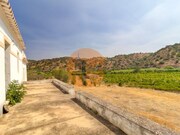 Terreno R�stico T3 - Castro Marim, Castro Marim, Faro (Algarve) - Miniatura: 4/9