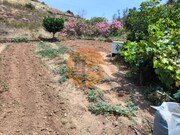 Terreno R�stico - Concei��o de Tavira, Tavira, Faro (Algarve) - Miniatura: 1/9