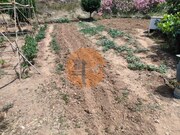 Terreno R�stico - Concei��o de Tavira, Tavira, Faro (Algarve) - Miniatura: 3/9