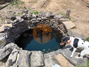 Terreno R�stico - Concei��o de Tavira, Tavira, Faro (Algarve) - Miniatura: 4/9