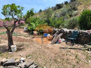 Terreno R�stico - Concei��o de Tavira, Tavira, Faro (Algarve) - Miniatura: 5/9