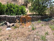 Terreno R�stico - Concei��o de Tavira, Tavira, Faro (Algarve) - Miniatura: 7/9