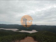 Terreno R�stico - S�o Bartolomeu de Messines, Silves, Faro (Algarve) - Miniatura: 1/9