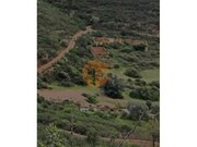 Terreno R�stico - S�o Bartolomeu de Messines, Silves, Faro (Algarve) - Miniatura: 2/9