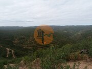 Terreno R�stico - S�o Bartolomeu de Messines, Silves, Faro (Algarve) - Miniatura: 6/9