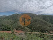 Terreno R�stico - S�o Bartolomeu de Messines, Silves, Faro (Algarve) - Miniatura: 7/9