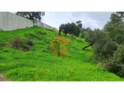 Terreno R�stico - Santa Catarina da Fonte do Bispo, Tavira, Faro (Algarve) - Miniatura: 2/9