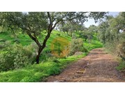 Terreno R�stico - Santa Catarina da Fonte do Bispo, Tavira, Faro (Algarve) - Miniatura: 7/9