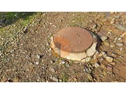 Terreno R�stico - Santa Catarina da Fonte do Bispo, Tavira, Faro (Algarve) - Miniatura: 9/9