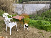 Terreno R�stico - Alcoutim, Alcoutim, Faro (Algarve) - Miniatura: 8/9
