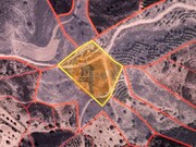 Terreno R�stico - Azinhal, Castro Marim, Faro (Algarve) - Miniatura: 1/9