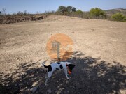 Terreno R�stico - Azinhal, Castro Marim, Faro (Algarve) - Miniatura: 2/9