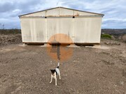 Terreno R�stico - Azinhal, Castro Marim, Faro (Algarve) - Miniatura: 4/9