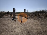 Terreno R�stico - Azinhal, Castro Marim, Faro (Algarve) - Miniatura: 6/9
