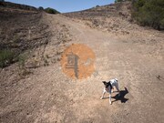 Terreno R�stico - Azinhal, Castro Marim, Faro (Algarve) - Miniatura: 8/9