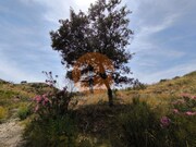 Terreno R�stico - Vila Nova de Cacela, Vila Real de Santo Ant�nio, Faro (Algarve) - Miniatura: 2/9