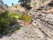 Terreno R�stico - Vila Nova de Cacela, Vila Real de Santo Ant�nio, Faro (Algarve) - Miniatura: 7/9