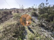 Terreno R�stico - Azinhal, Castro Marim, Faro (Algarve) - Miniatura: 7/9