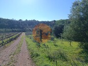 Terreno R�stico - Castro Marim, Castro Marim, Faro (Algarve) - Miniatura: 8/9