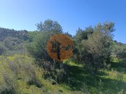 Terreno R�stico - Castro Marim, Castro Marim, Faro (Algarve) - Miniatura: 9/9