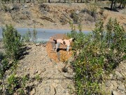 Terreno R�stico - Odeleite, Castro Marim, Faro (Algarve) - Miniatura: 2/9