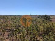 Terreno R�stico - Odeleite, Castro Marim, Faro (Algarve) - Miniatura: 6/9