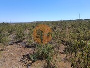 Terreno R�stico - Odeleite, Castro Marim, Faro (Algarve) - Miniatura: 7/9