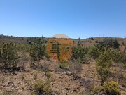 Terreno R�stico - Odeleite, Castro Marim, Faro (Algarve) - Miniatura: 9/9
