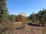 Terreno R�stico - Azinhal, Castro Marim, Faro (Algarve) - Miniatura: 7/9