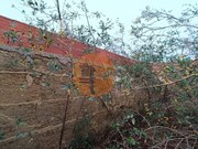 Moradia T1 - Santana de Cambas, M�rtola, Beja - Miniatura: 6/9