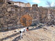 Moradia - Concei��o de Tavira, Tavira, Faro (Algarve) - Miniatura: 3/9