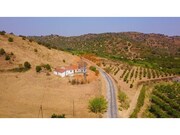Terreno R�stico T3 - Castro Marim, Castro Marim, Faro (Algarve) - Miniatura: 9/9